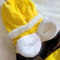 ペットパラダイス犬服：SSサイズ　PETPARADISE 蜂ミツバチの画像