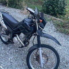 ヤマハ　セロー250 実働車　現状渡しになります。の画像