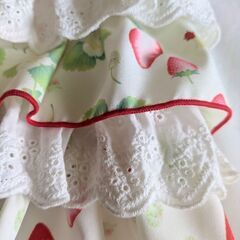 ペットパラダイス：犬服【3Ｓ】　イチゴ　フリルPETPARADISEの画像