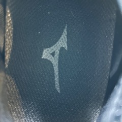 メンズスリッポンシューズローファーカジュアルシューズウォーキングシューズジョギングシューズスニーカーミズノブラック黒色Mizunoの画像