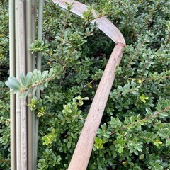 家庭菜園用、支柱2メーター12本細目、太め二本の画像