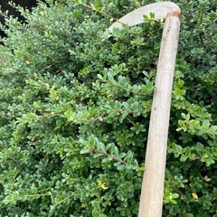 家庭菜園用、支柱2メーター12本細目、太め二本の画像