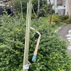 家庭菜園用、支柱2メーター12本細目、太め二本の画像