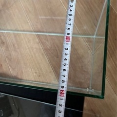 水槽5個まとめて3,000円の画像