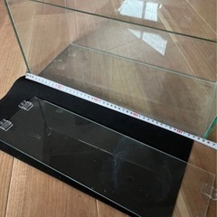 水槽5個まとめて3,000円の画像