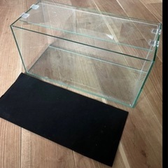 水槽5個まとめて3,000円の画像
