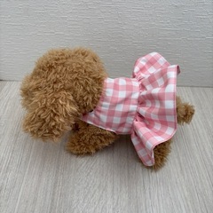 愛犬モカちゃんの画像