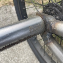 ダーカスワン　LOWの画像