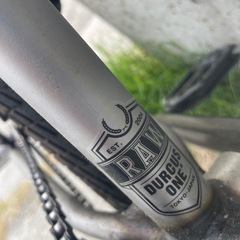 ダーカスワン　LOWの画像