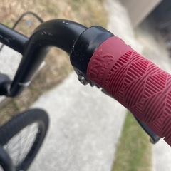 ダーカスワン　LOWの画像