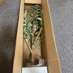 新品　Nearly Natural 人工樹木 オリーブ ホワイトの画像