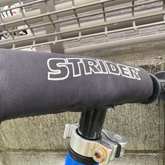 ストライダー青の画像