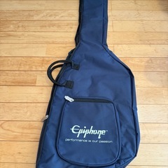 エピフォン　サンダーバード　ソフトケース付きの画像