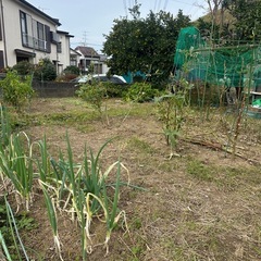 家庭菜園用土の画像