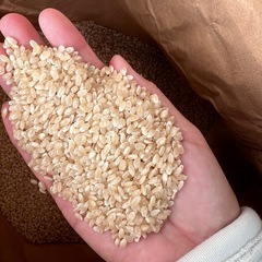 新米　お米　コシヒカリ　玄米　30キロ　②の画像
