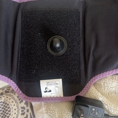 ゴリラのひとつき　の画像