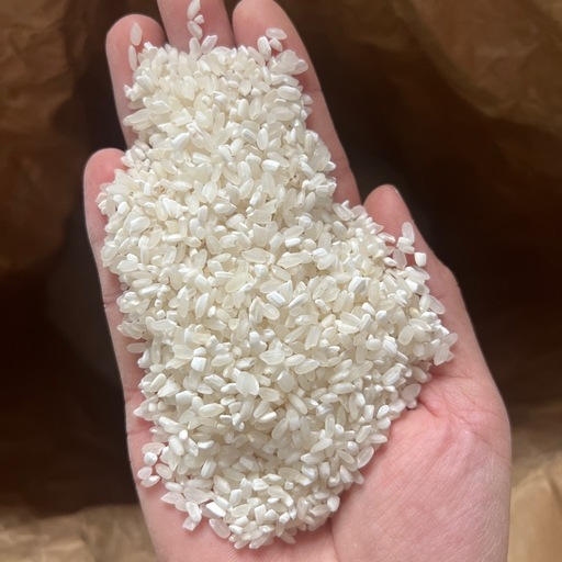 新米　中米　白米　30キロ