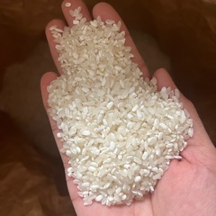 新米　中米　白米　30キロの画像