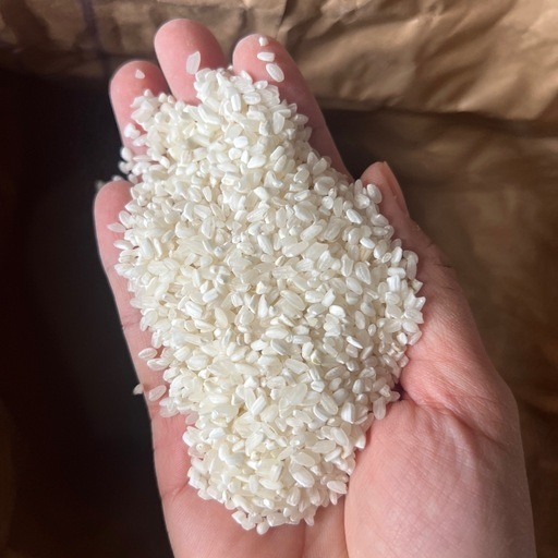 新米　中米　白米　30キロ