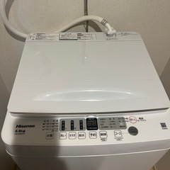 ハイセンス　洗濯機　2024年製5.5kgの画像
