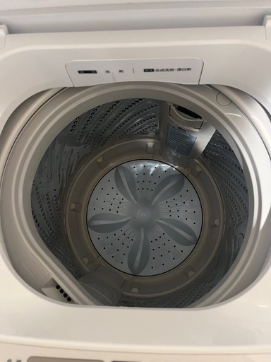 ハイセンス　洗濯機　2024年製5.5kg