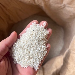 くず白米　30キロ以上の画像