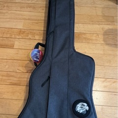 エピフォン　サンダーバード　60sの画像