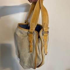 セリーヌの画像