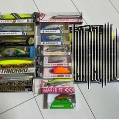 シーバスルアー14点
の画像