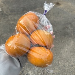 【富有柿約4個】本庄産　野菜　無農薬　販売　まとめ売り　セット　　の画像