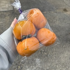 【富有柿約4個】本庄産　野菜　無農薬　販売　まとめ売り　セット　　の画像