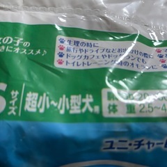 犬マナーウェアSS（女の子）の画像