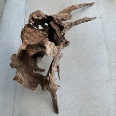 スタンプウッドの画像