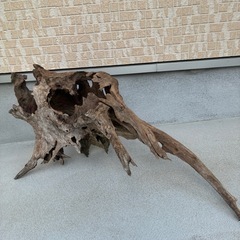 スタンプウッドの画像