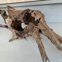 スタンプウッドの画像