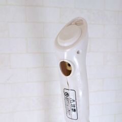 エステ　スチーマー　フェイシャル　業務用の画像