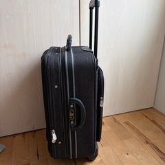 ソフトタイプ　2輪　 キャリーバッグ キャリーケース　の画像