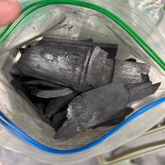 珊瑚石　竹炭の画像