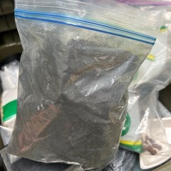 珊瑚石　竹炭の画像