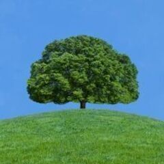 🌿親の愚痴ききます ～話すだけで少し楽になる時間を～