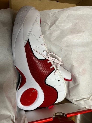 NIKE AIR ズームフライト95 ホワイト×レッド 　サイズ27cm