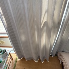 カーテンにまい２枚の画像