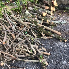 キャンプ、焚き火、薪ストーブの画像