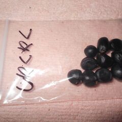 芍薬　種子の画像