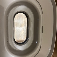 Pigeon 　ポチット　　の画像