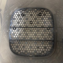 Pigeon 　ポチット　　の画像