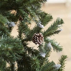 クリスマスツリーの画像