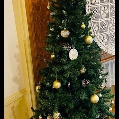 クリスマスツリーの画像