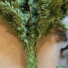 クリスマスツリーの画像