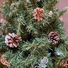 クリスマスツリーの画像